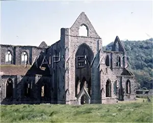 Tintern: TINTERN ABBEY
