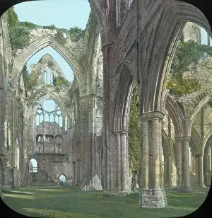 Tintern: Tintern Abbey (interior of Transepts), Monmouthshire, Wales