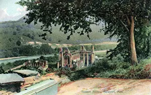 Monmouthshire: Tintern Abbey, Tintern, Monmouthshire