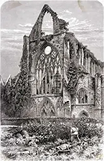 Cabbages: TINTERN/WEST FRONT/1875