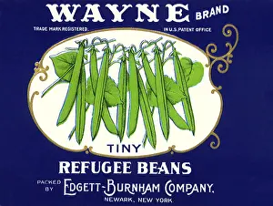 Pods: Tiny Refugee Beans