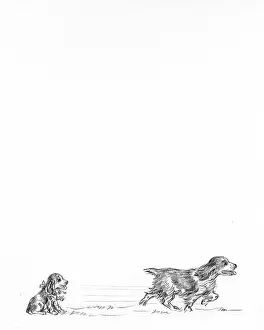 Twinkletoes: Tiny and Twinkletoes