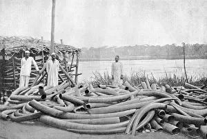Tippoo: Tippoo Tib's Ivory Store at Stanley Falls, Lualaba River, c