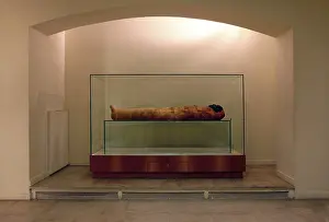Franais: Tissue sampling operation of an Egyptian mummy