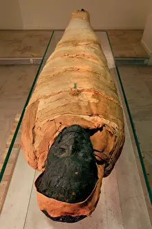 Franais: Tissue sampling operation of an Egyptian mummy