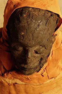 Franais: Tissue sampling operation of an Egyptian mummy