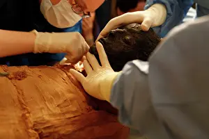 Franais: Tissue sampling operation of an Egyptian mummy