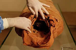 Franais: Tissue sampling operation of an Egyptian mummy