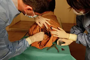 Franais: Tissue sampling operation of an Egyptian mummy