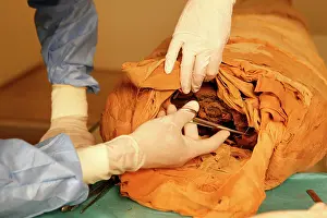 Franais: Tissue sampling operation of an Egyptian mummy