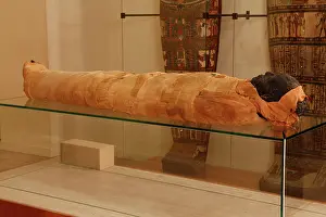 Franais: Tissue sampling operation of an Egyptian mummy