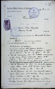 Negligence: Titanic charges