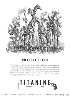 Titanine: Titanine Aircraft Finishes