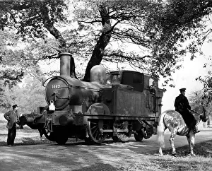 Rank: THE TITFIELD THUNDERBOLT