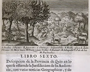 Naturalism: Title page of the book Description of Quito