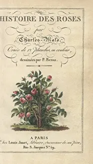 Malos: Title page with calligraphic title and vignette