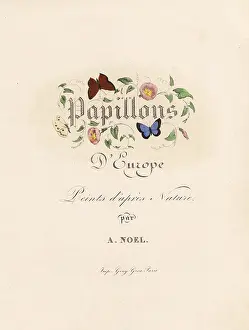 Pauquet: Title page with decorative calligraphy among