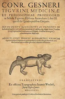 Xylograph: Title page to the Oviparous Quadrupeds volume
