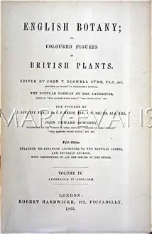 Sowerbys: TITLE PAGE-SOWERBY'S