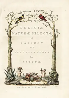Tritons: Title page with vignette from Knorr's Deliciae