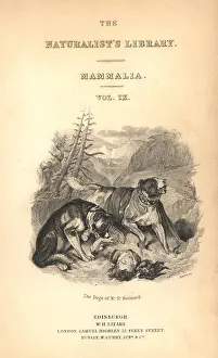 Lizars: Title page with vignette of St Bernard dogs