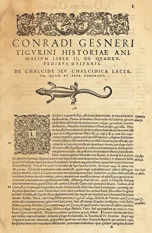 Xylograph: Title page of the volume on oviparous quadrupeds