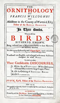 Ornithological: Title page of Willughby's Ornithology
