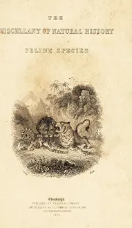 William Rhind: Titlepage with vignette of a lion attacking a tiger