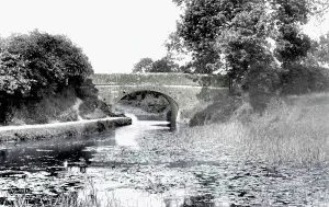 Tiverton: Tiverton, on the Canal 1903