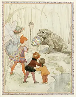Toads: Toad