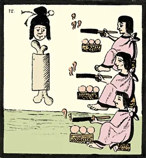 Tabacum: Tobacco In Aztec Ritual, Florentine Codex