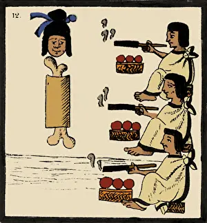 Tabacum: Tobacco In Aztec Ritual, Florentine Codex