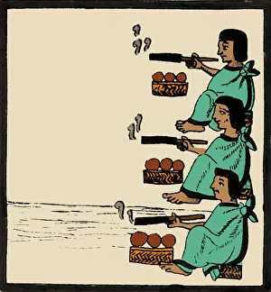 Tabacum: Tobacco In Aztec Ritual, Florentine Codex