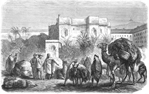 Hussein: Tobacco industry in Algiers