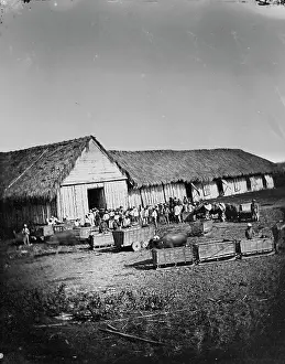 Tabacum: Tobacco market, Philippines