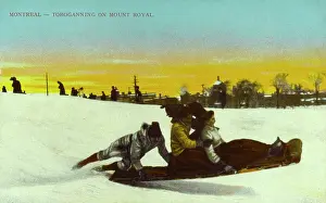 Toboganning: Toboganning on Mount Royal, Montreal