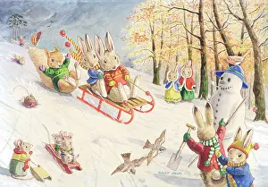 Toboggan: The Toboggan Run