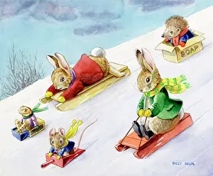 Hedgehogs: Tobogganing