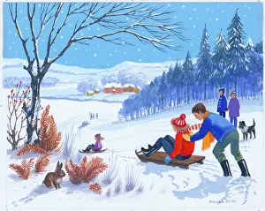 Tobogganing: Tobogganing