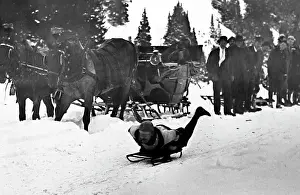 Tobogganing: Tobogganing, St. Moritz, Switzerland, Victorian period