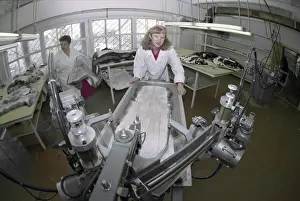 Employees: Tobolskiy state fur farm