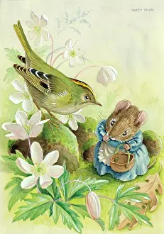 Dormouse: How Are You Today? - dormouse & goldcrest