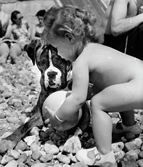 Pebbly: Toddler and boxer dog on pebbly beach