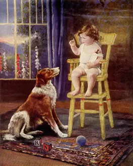 Regard: Toddler and Collie