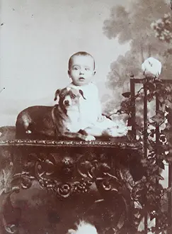 Sankt: Toddler with dog in studio