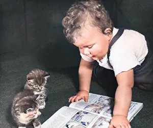 Chubby: Toddler and kittens reading a picture book