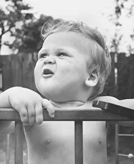 Playpen: Toddler in a playpen in a garden