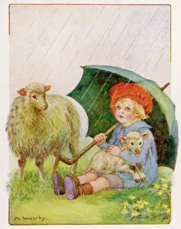 Bookshop On The Heath Collection: Toddles put up his umbrella