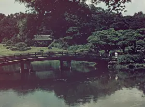 Anne Burton: Tokyo Shimjuku - Japan