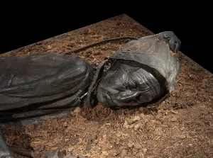Peat: Tollund Man, Silkeborg Museum, Silkeborg, Jutland, Denmark